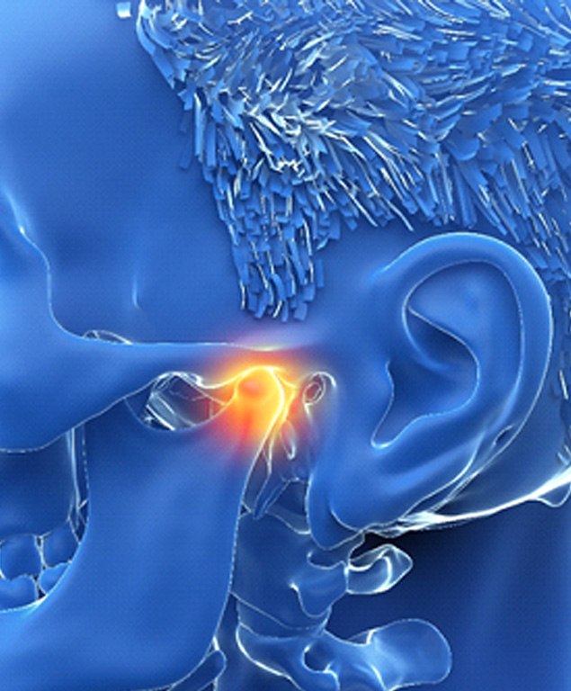 Digital illustration of temporomandibular joint